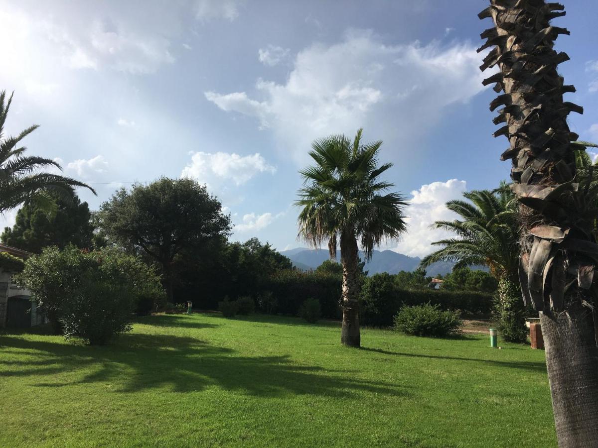 Mini Villa - Corse Du Sud Lecci Eksteriør billede